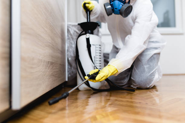 Best Affordable Pest Control Services  in Laguna Hills, CA