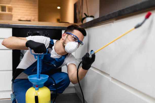 Best Commercial Pest Control Services  in Laguna Hills, CA