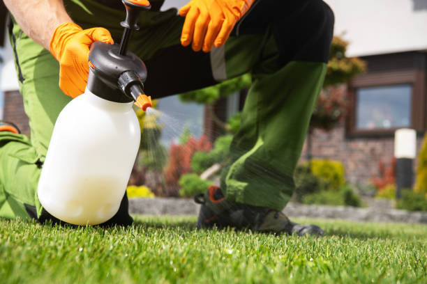 Best Mosquito Control Services  in Laguna Hills, CA