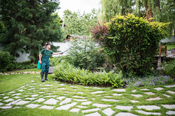 Best Emergency Pest Control  in Laguna Hills, CA