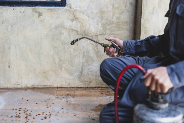 Best Pest Removal Services  in Laguna Hills, CA